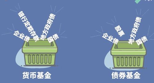基金投资入门教程 开扒各种基金