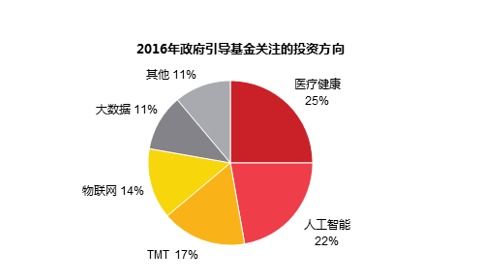 干货 政府投资基金研究 含案例