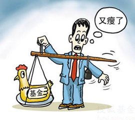 投资基金亏损严重怎么办