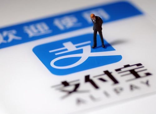 6亿投资者被割韭菜，支付宝买基金真的能挣钱吗？