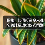 揭秘：如何打造令人难忘的球星退役仪式策划（图1）
